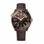 Omega Seamaster Planet Ocean Ceramic 215 62 40 20 13 001 1